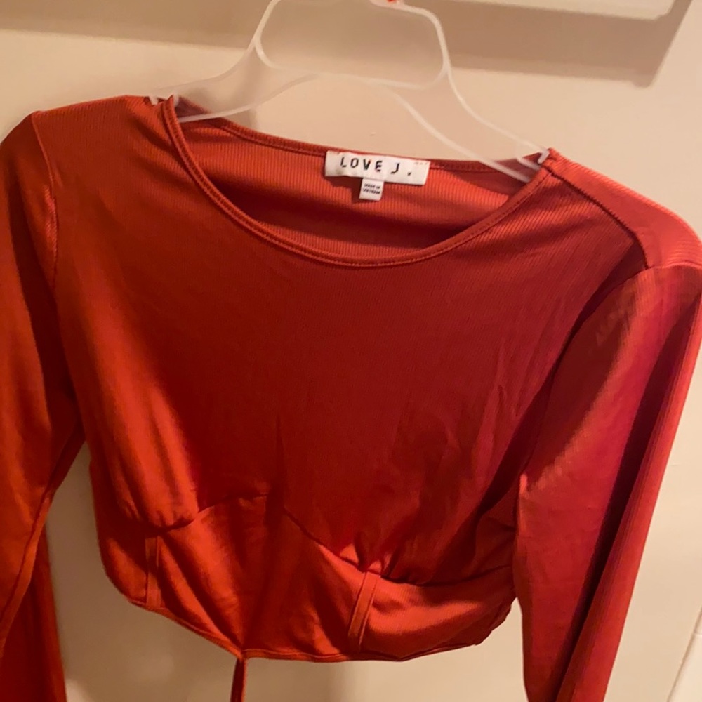 Beig long-sleeve cropped top, never worn before, no tag